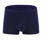 Transparent Boxer Pants For Young Men