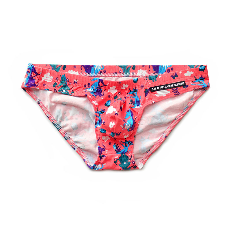 Cartoon triangle panties  low waist sexy